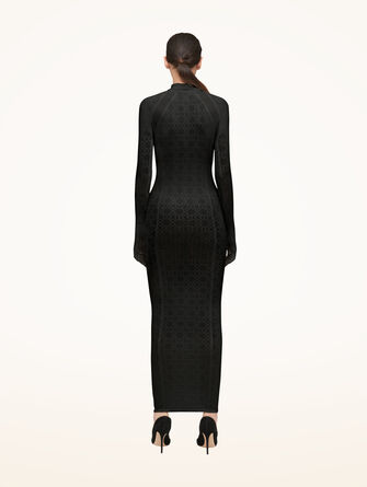 Intricate Sheer Pattern Dress