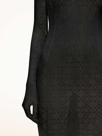 Intricate Sheer Pattern Dress