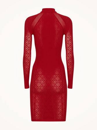 Intricate Sheer Pattern Dress