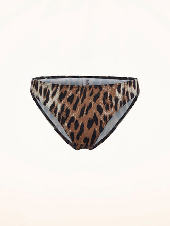 Sculpt Essentials Brief